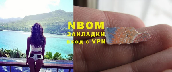 гидропоника Каменка