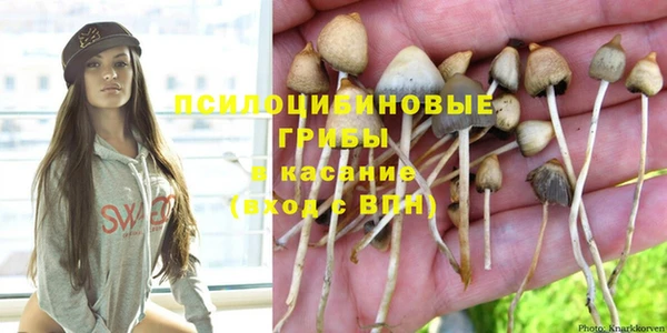 гидропоника Каменка